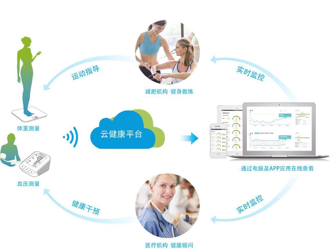 ����С�ݿ��Ƅ�(d��ng)��������ָ�y�R(sh��)ģ�K